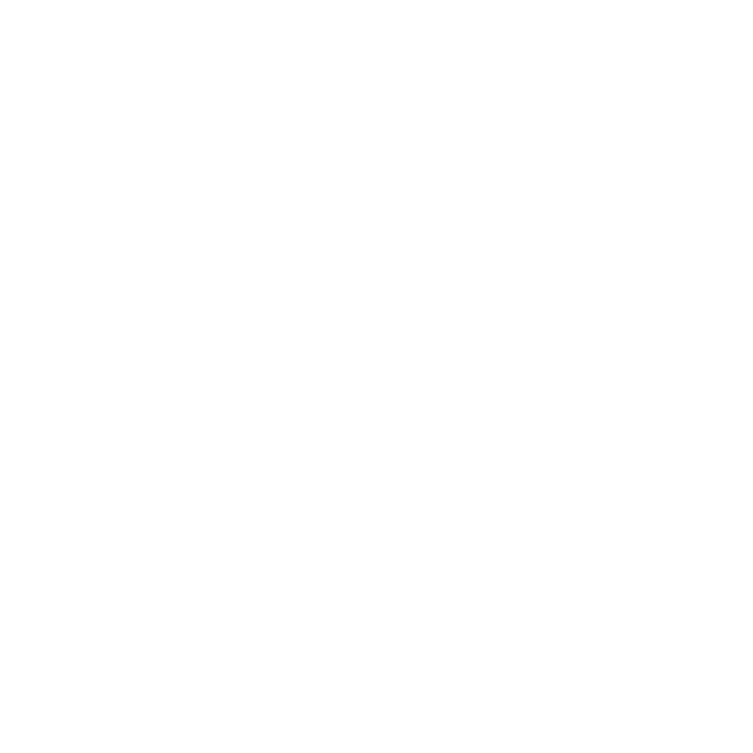 light logo